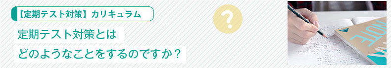 【定期テスト対策】カリキュラム：定期テスト対策とはどのようなことをするのですか？