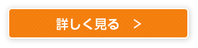 詳しく見る＞