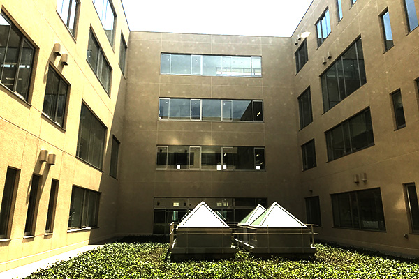青山学院中等部