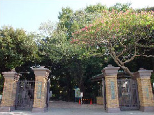 学習院中等科