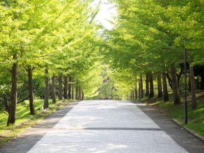 神奈川大学附属中学校