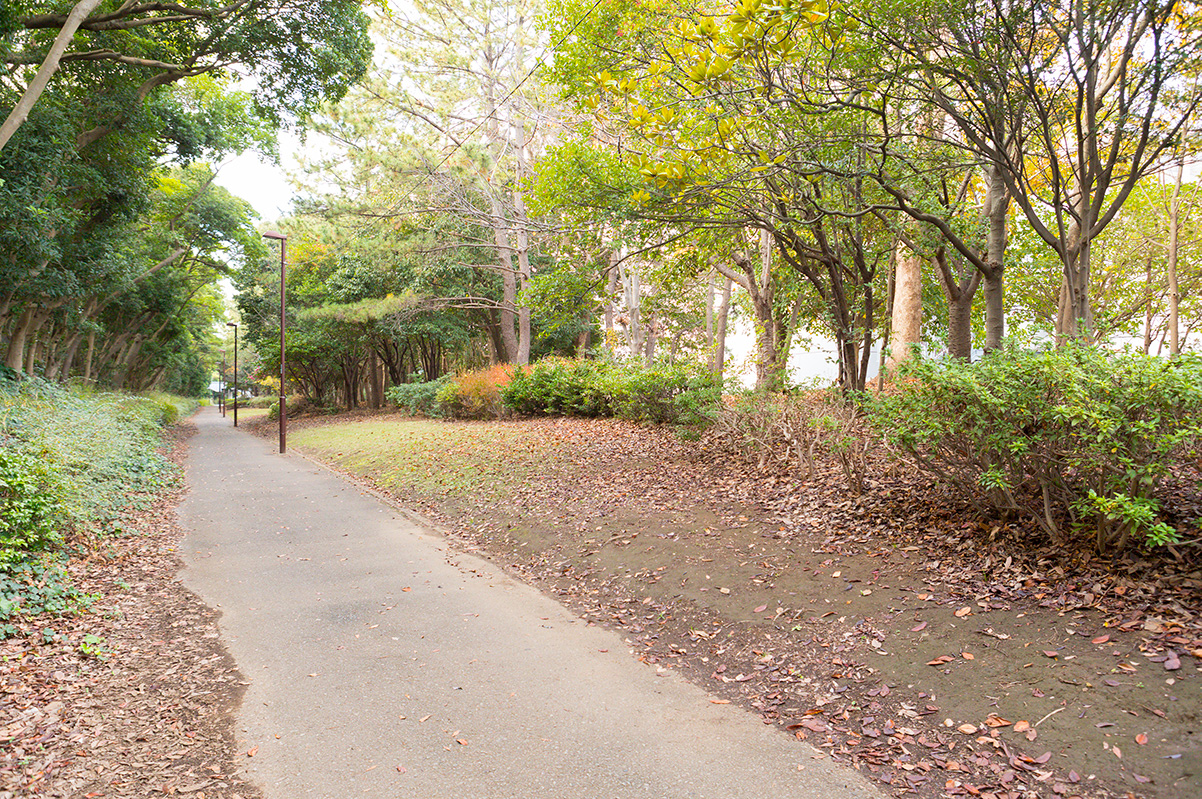 渋谷教育学園幕張中学校